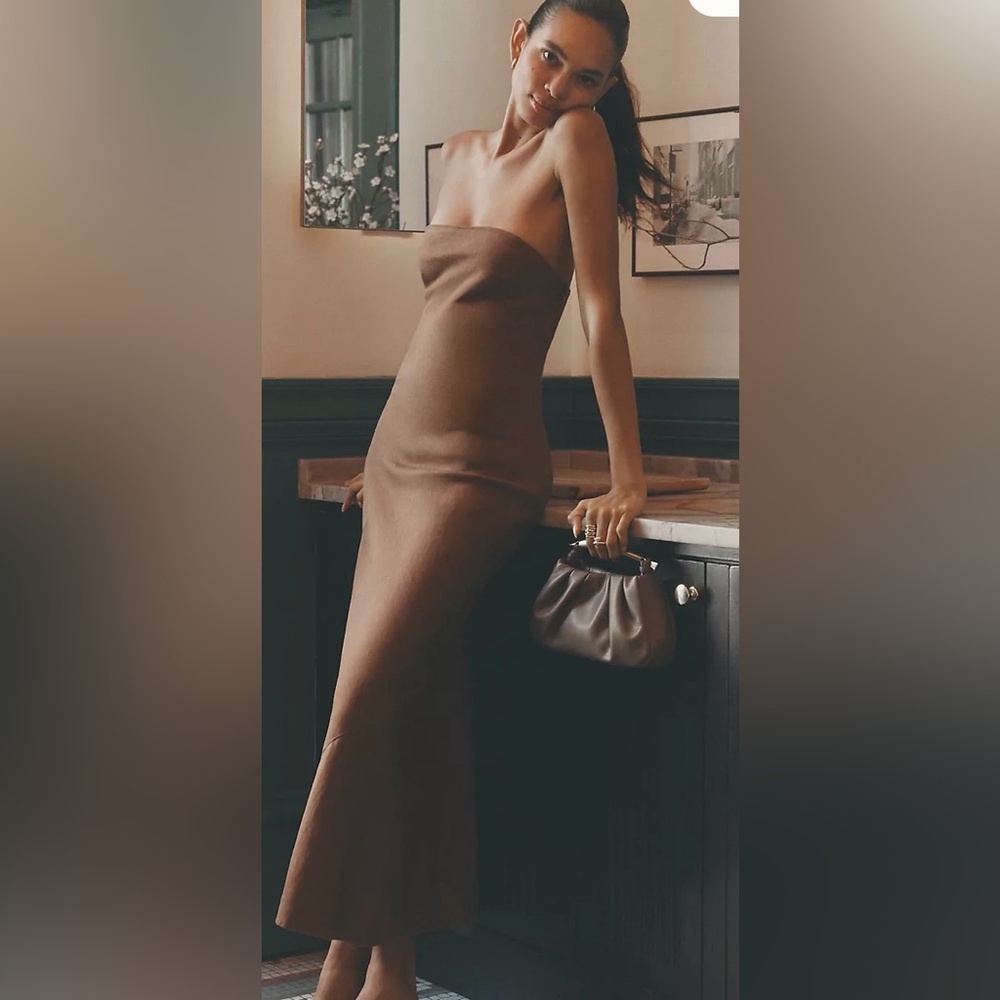 Anthropologie Strapless Brown Dress